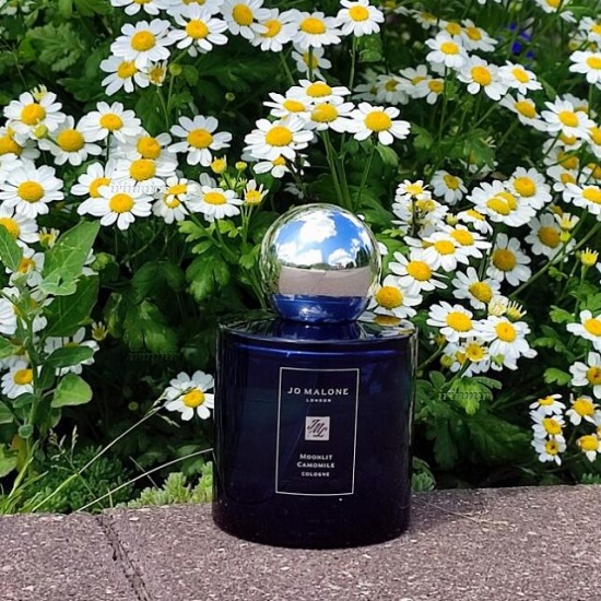 Jo Malone London Moonlit Camomile 